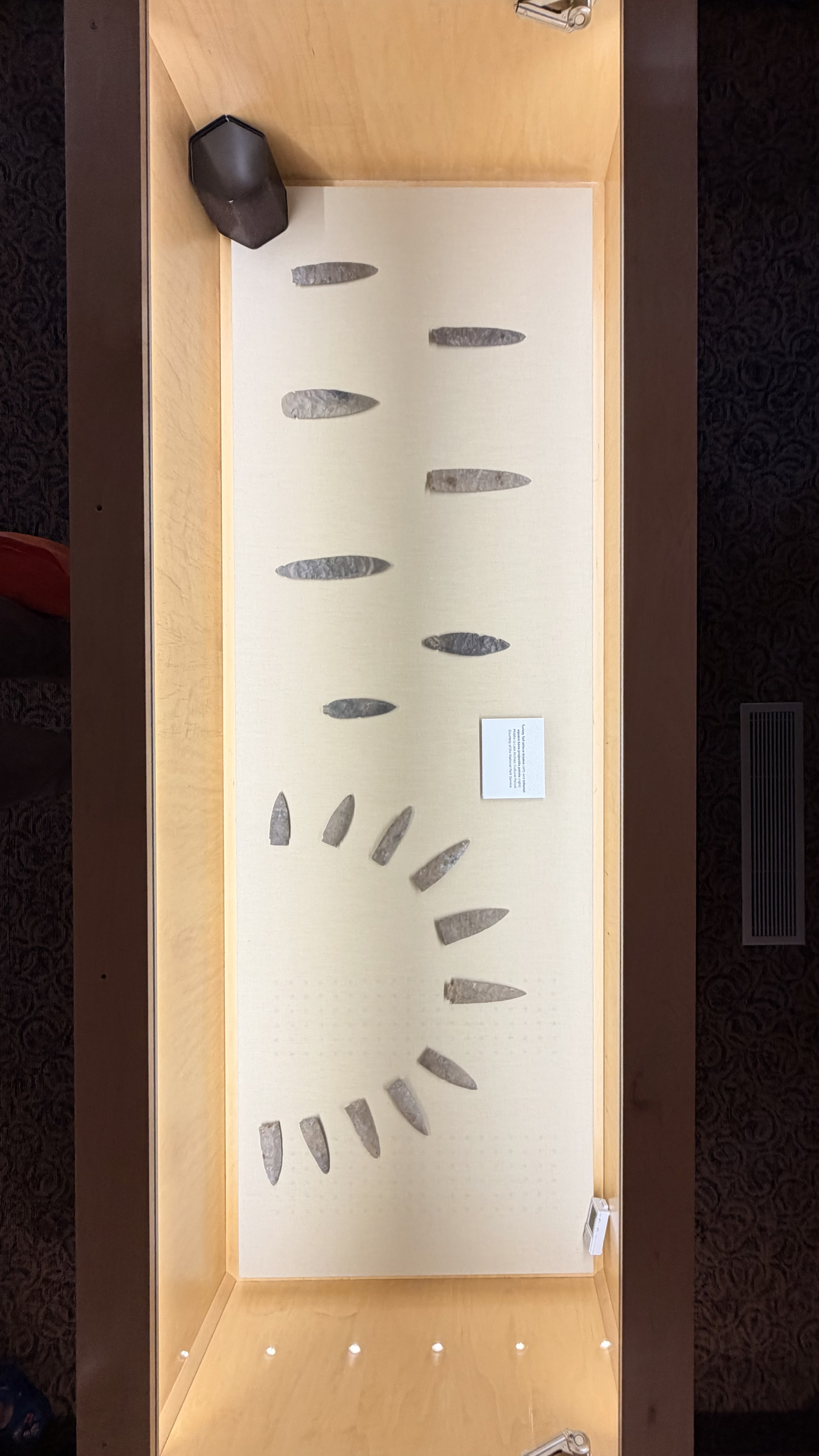 The Chickasaw - Photo 9