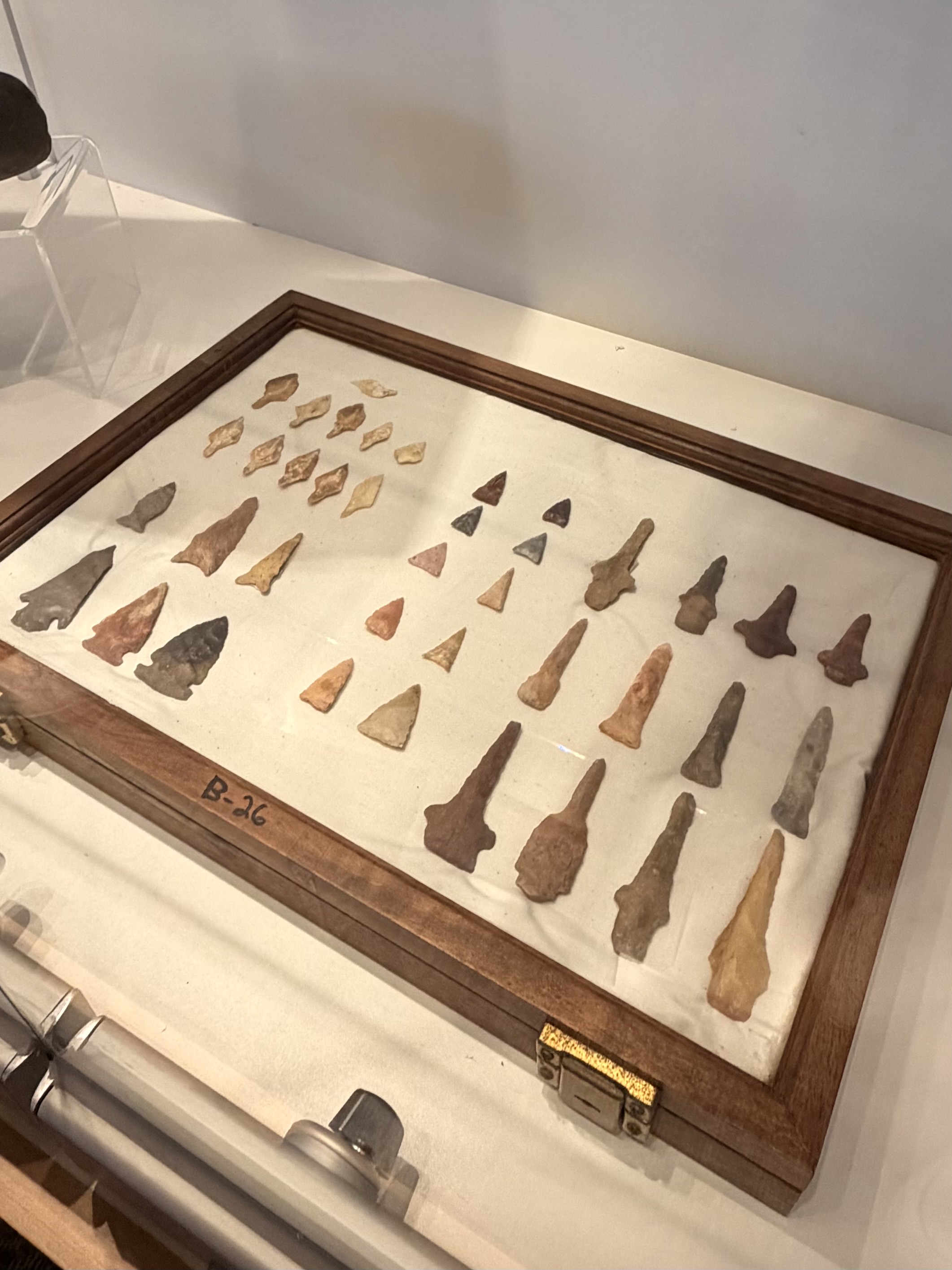 The Chickasaw - Photo 10