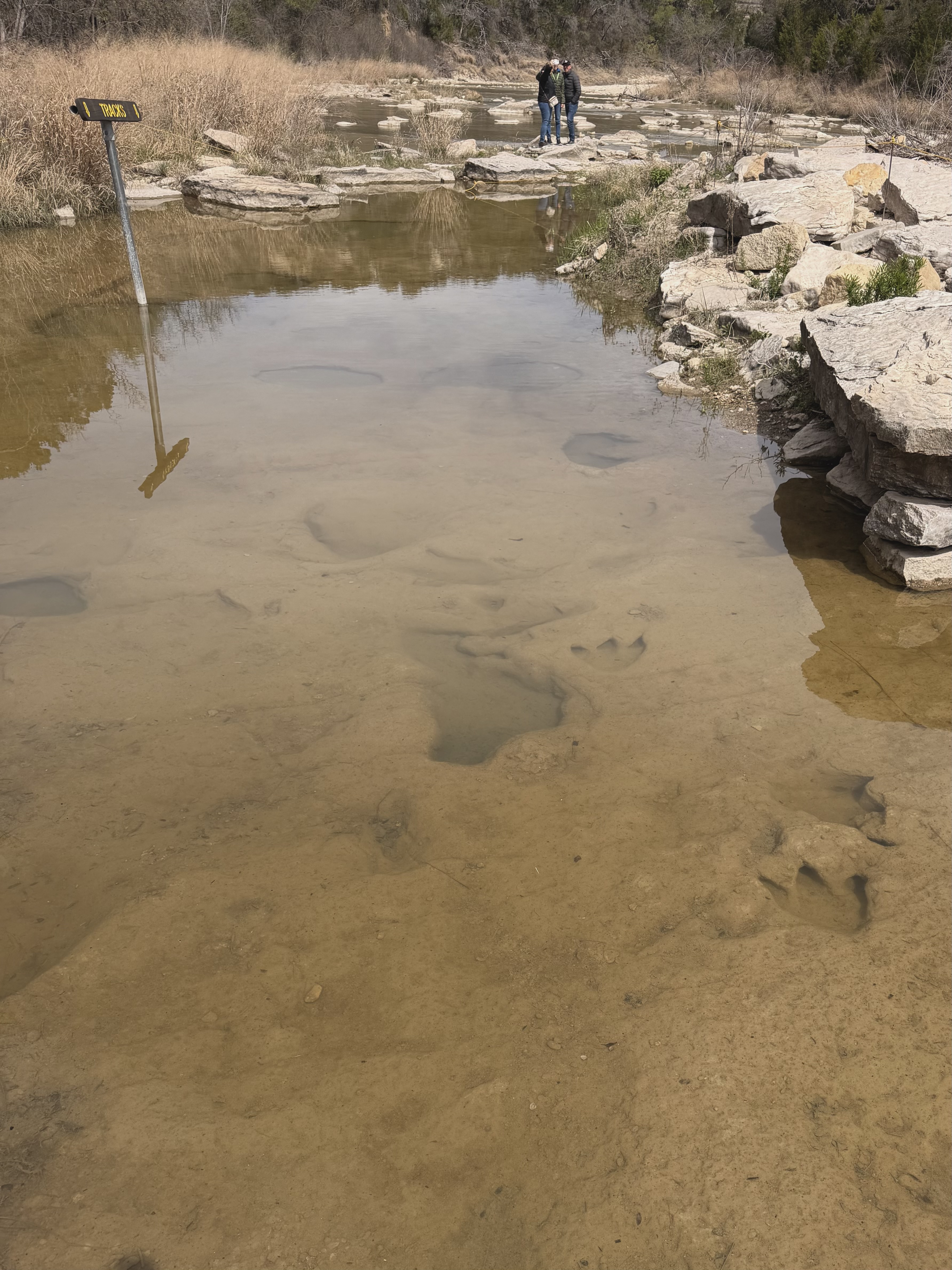 The Tracks - Photo 3