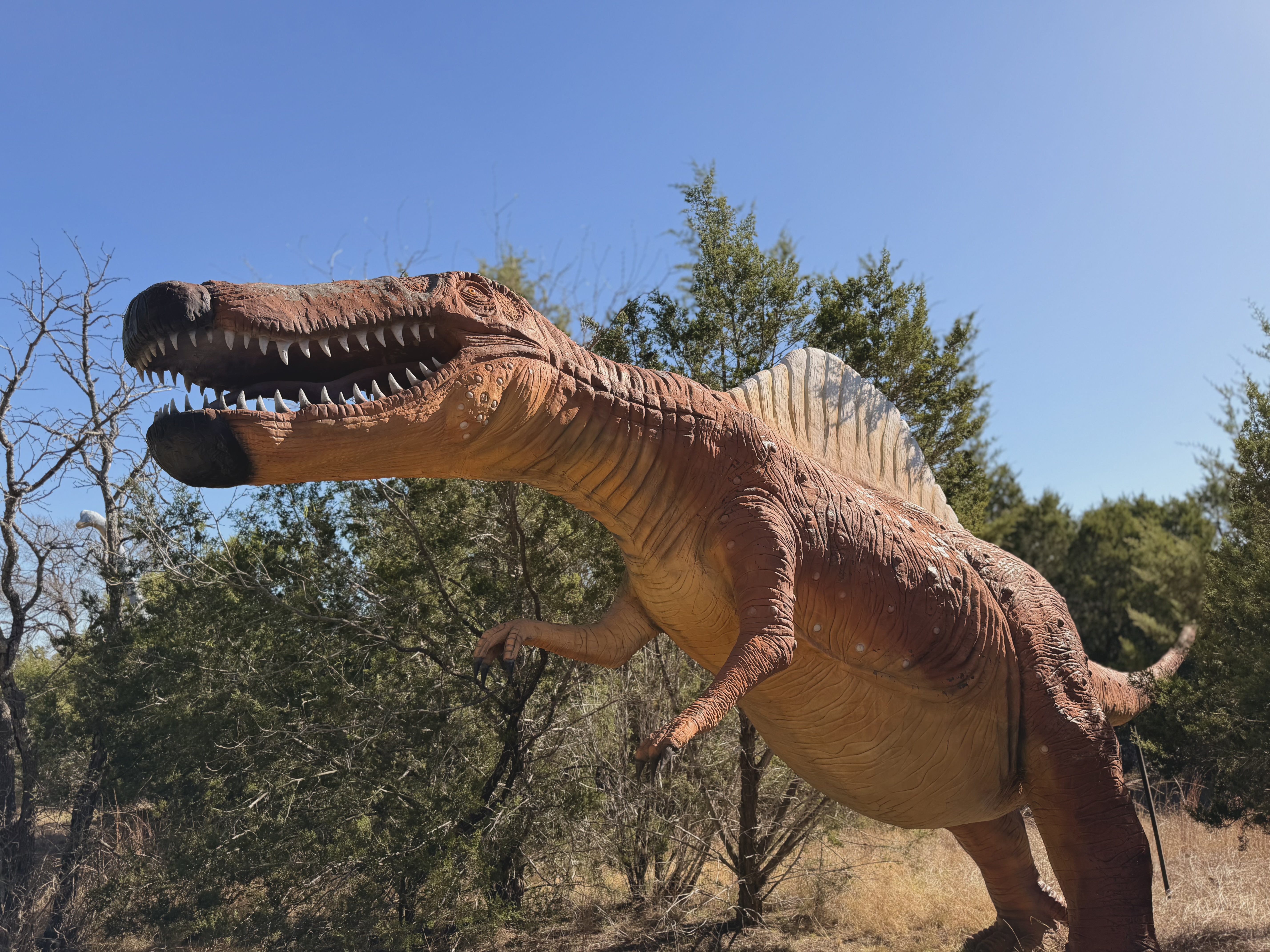 The Expedition - Photo 8