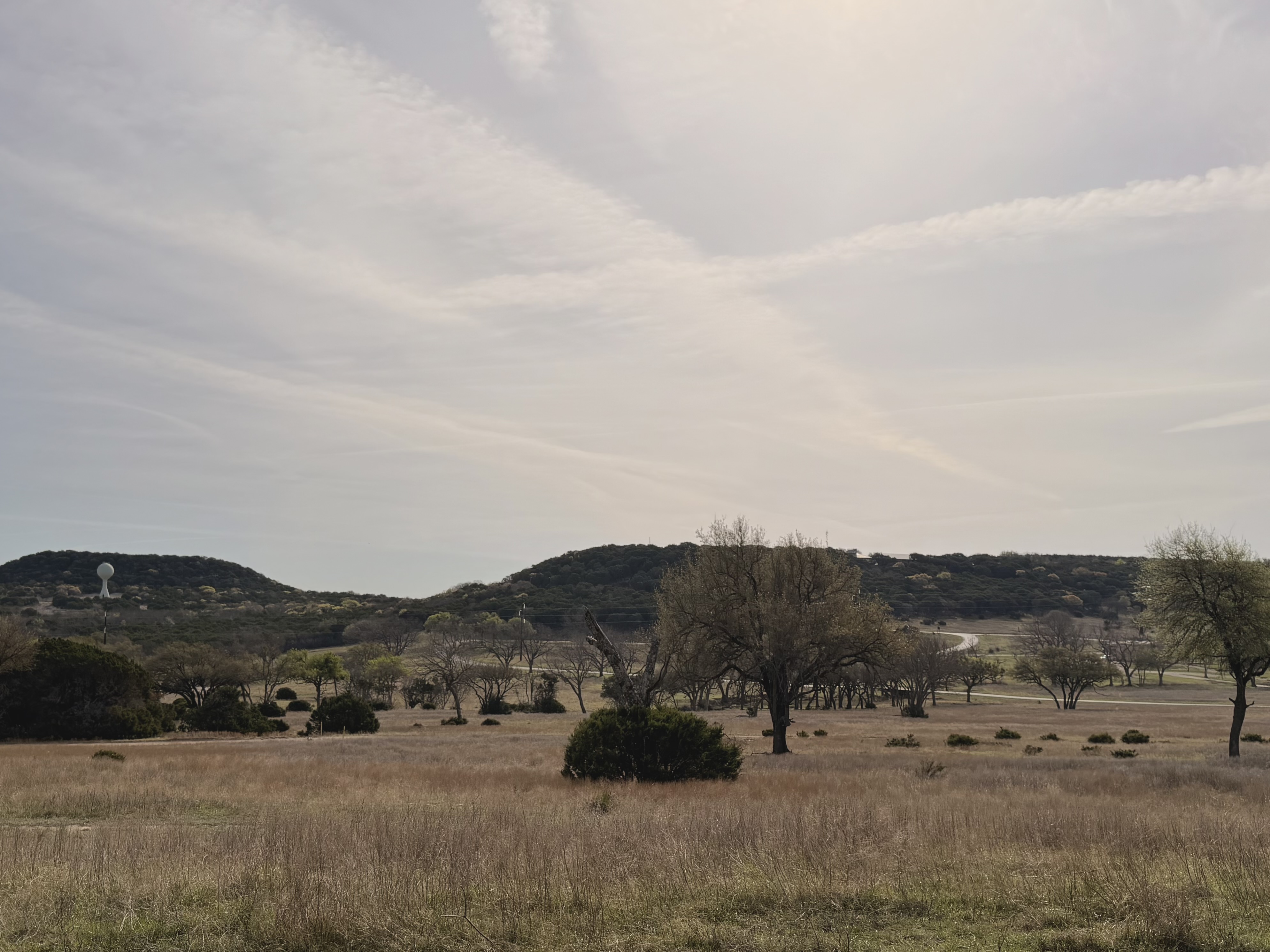 The Safari - Photo 4