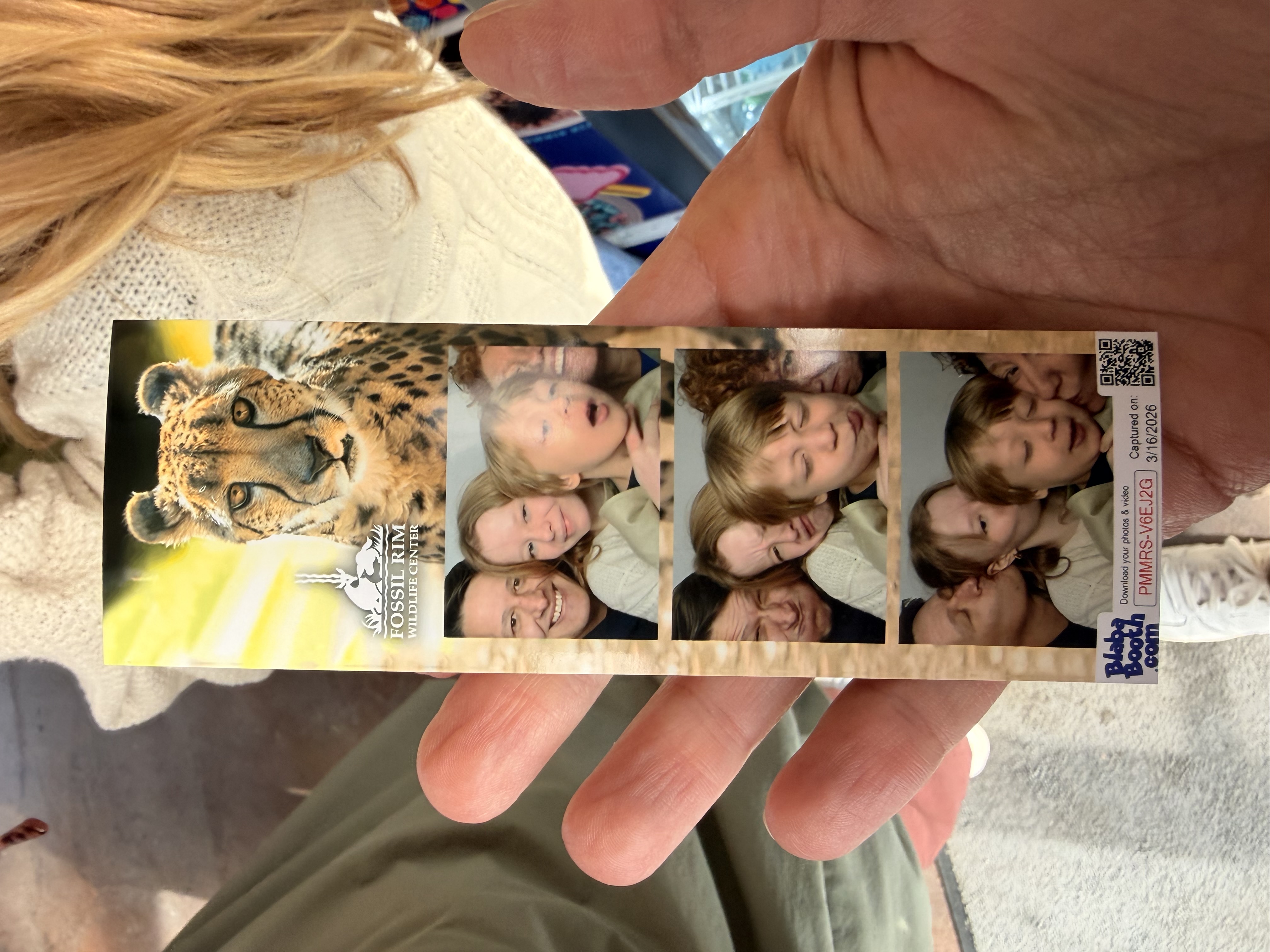 The Safari - Photo 8